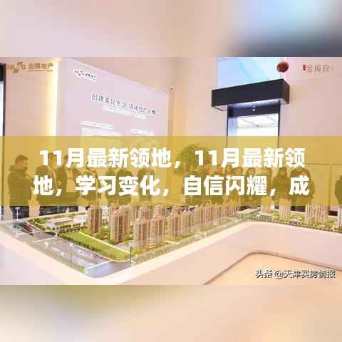 11月最新领地，学习变化，自信成就无限可能