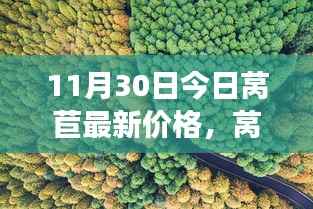 拥抱自信与成就感的奇妙旅程，揭秘莴苣最新价格变化