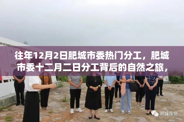 肥城市委十二月二日分工背后的自然之旅，心灵宁静港湾探寻记
