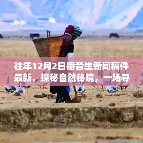 探秘自然秘境，寻找内心平静的旅程，最新播音生新闻稿件分享
