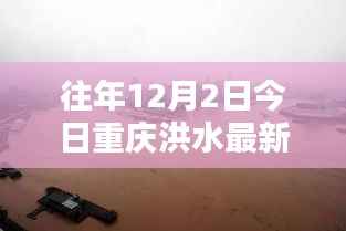 重庆洪水日，友情纽带与温馨日常的见证（往年12月2日洪水最新情况）