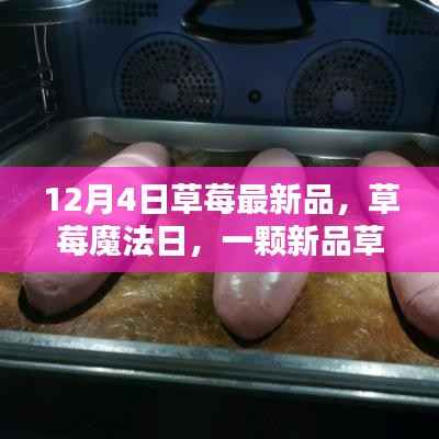 草莓魔法日，友谊与爱的甜蜜串联，新品草莓登场