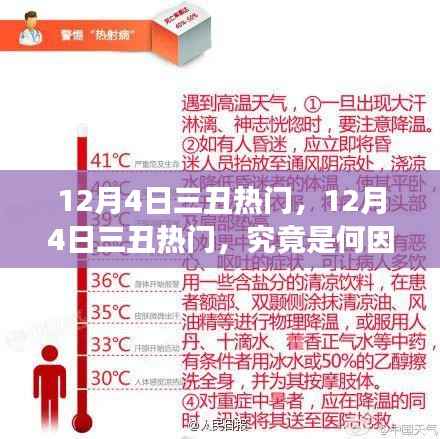 揭秘,引发争议的12月4日三丑热门背后的因素是什么?