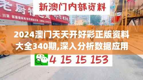 2024澳门天天开好彩正版资料大全340期,深入分析数据应用_kit59.736-8