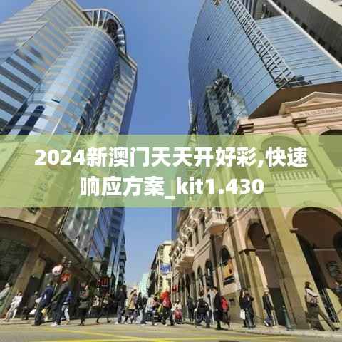 2024新澳门天天开好彩,快速响应方案_kit1.430
