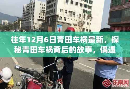 往年12月6日青田车祸最新，探秘青田车祸背后的故事，偶遇小巷深处的独特小店