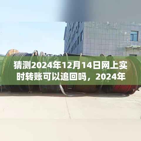 关于未来网上实时转账追回的可能性，深度解析与预测，能否追回资金？