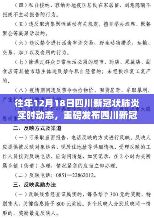 四川新冠状肺炎实时动态监测系统，科技智能引领抗疫未来