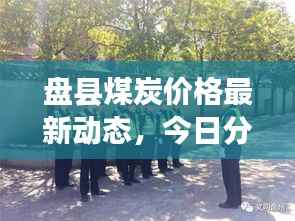 盘县煤炭价格最新动态，今日分析与未来展望