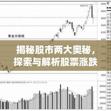 揭秘股市两大奥秘,探索与解析股票涨跌背后的秘密
