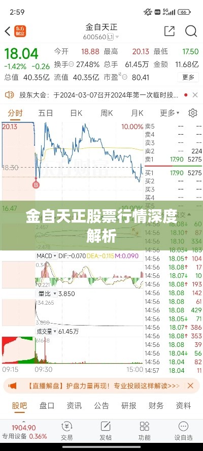 金自天正股票行情深度解析