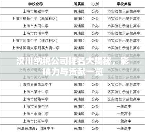 汉川纳税公司排名大揭秘，影响力与贡献一览
