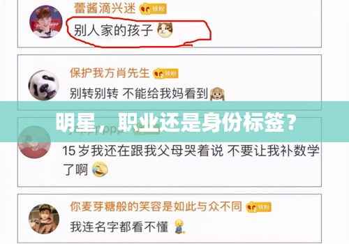明星,职业还是身份标签?